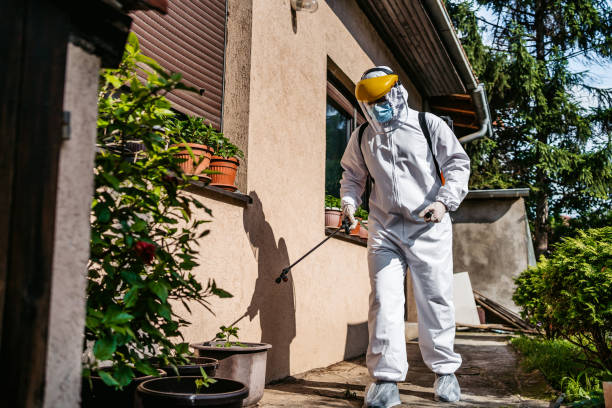 Best Affordable Pest Control Services  in Bouse, AZ
