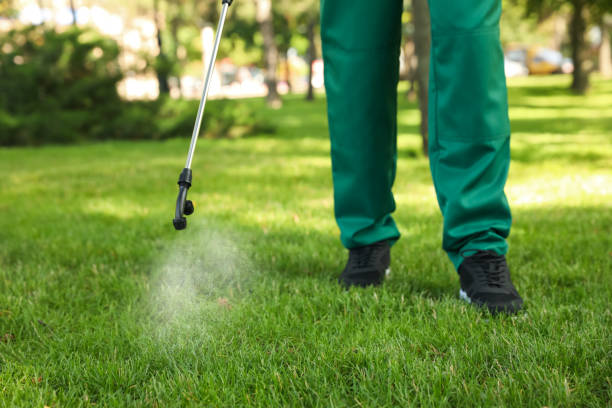 Best Pest Inspection Near Me  in Bouse, AZ