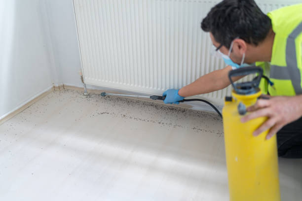 Best Emergency Pest Control  in Bouse, AZ