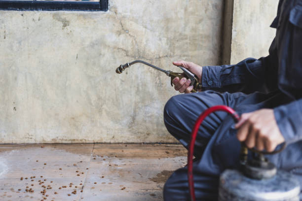 Best Pest Inspection Near Me  in Bouse, AZ